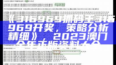 《316969抓码王316969开奖，策略分析精细》， 2023澳门全年正版资料大全