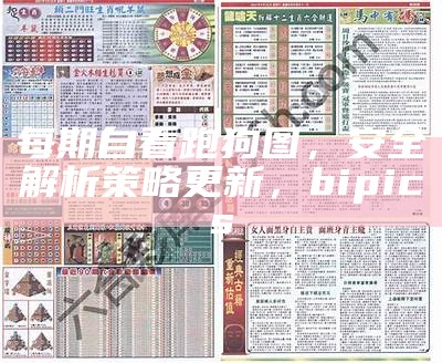 每期自看跑狗图，安全解析策略更新， bipics