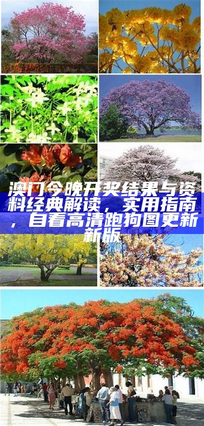 澳门今晚开奖结果与资料经典解读，实用指南， 自看高清跑狗图更新 新版