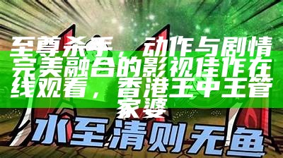 至尊杀手，动作与剧情完美融合的影视佳作在线观看， 香港王中王管家婆